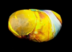 bolla gialla